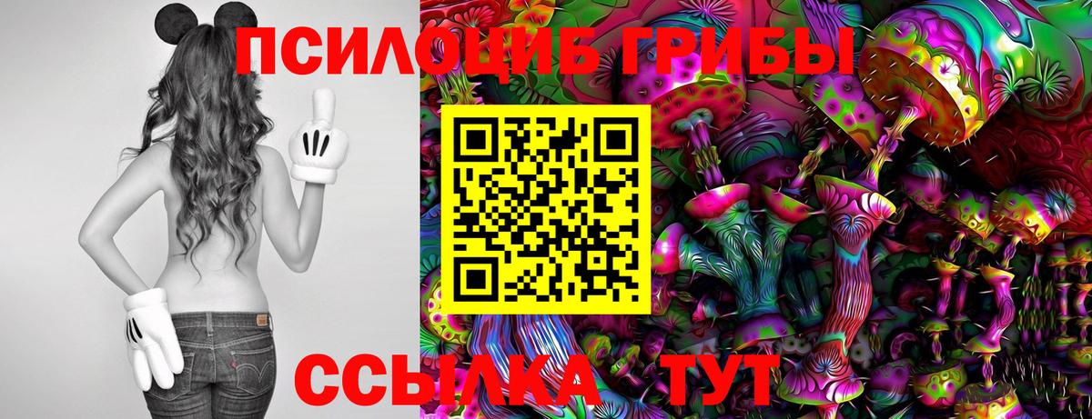 Галлюциногенные грибы GOLDEN TEACHER  Вход с VPN  Советская Гавань 