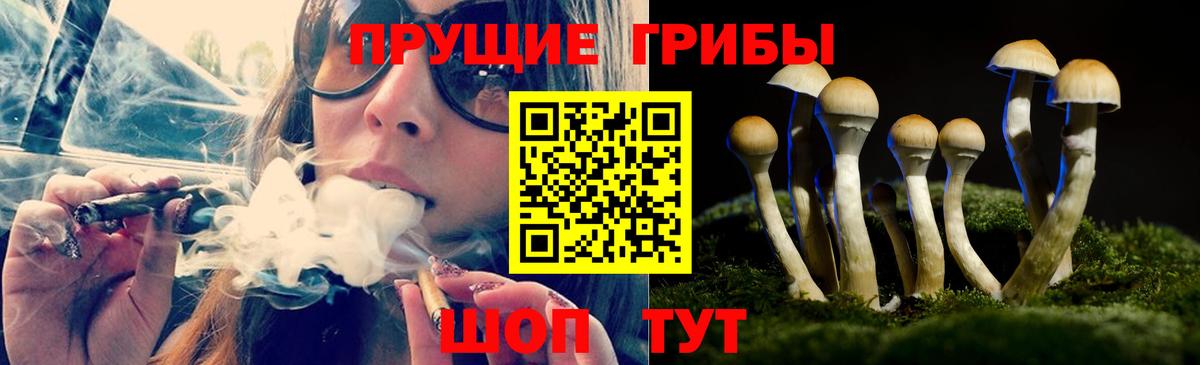 Кокаин Советская Гавань